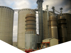 在线DDOS攻击平台